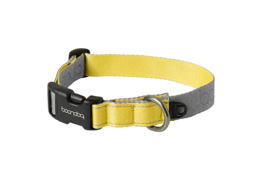 [BOONDOG] Original Collar Grey Lemon