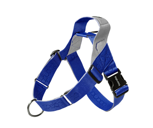 [BOONDOG] 0109 Harness Cream Blue