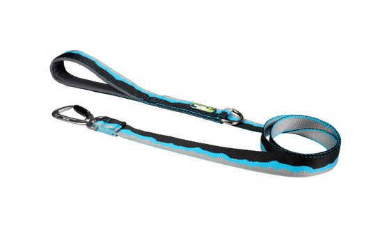 [BOONDOG] Adventure Leash 1.4 Blue