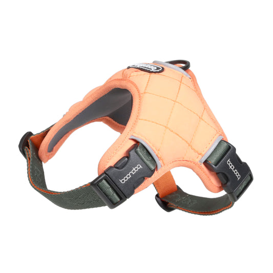 [BOONDOG] Jogger Harness Orange