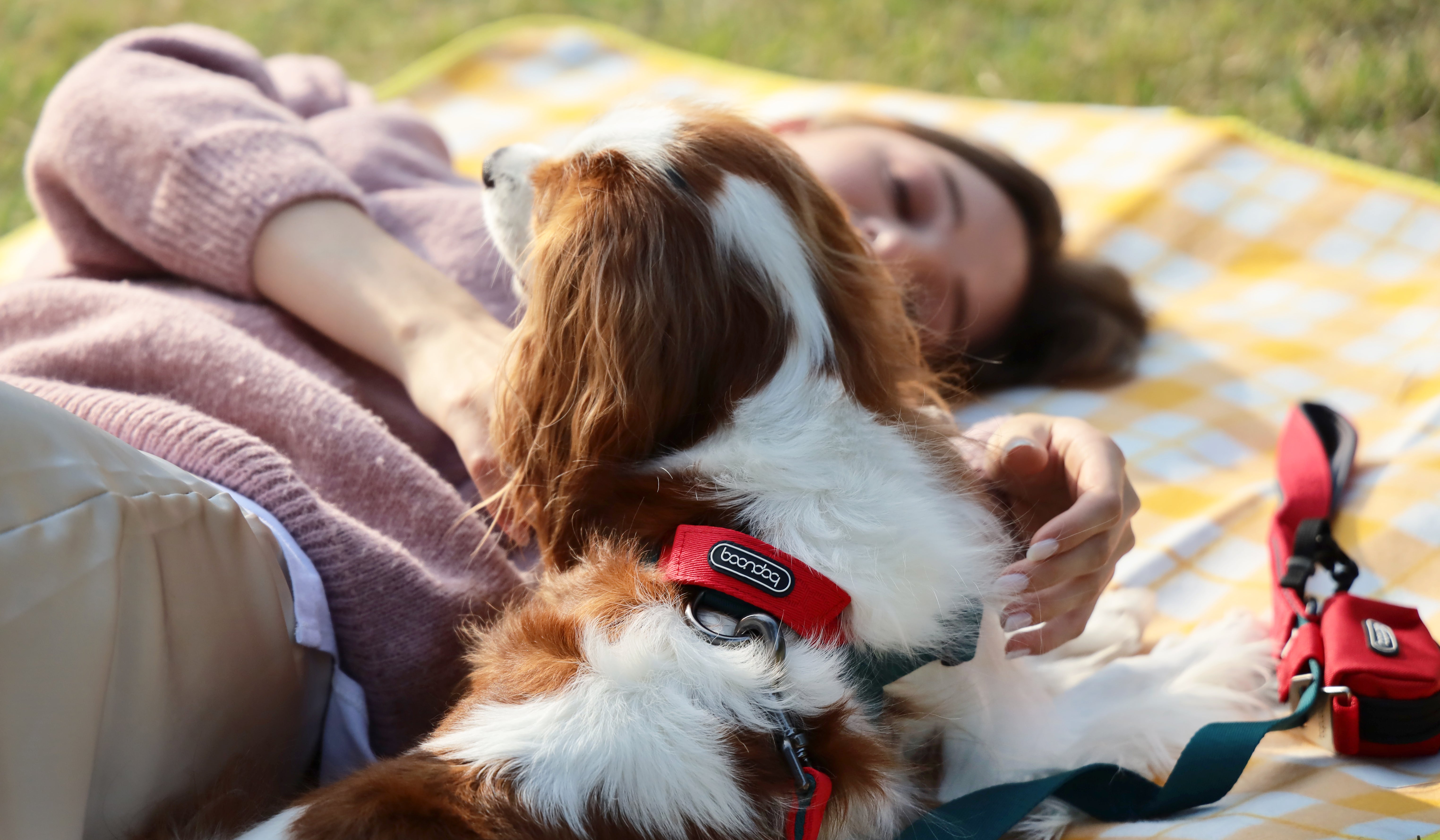 NEIGHBORHOOD DOG HARNESS ブラック Mサイズ Stash n Dash Harness | All Things Nissan