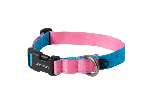 [BOONDOG] Original Collar Aqua Pink