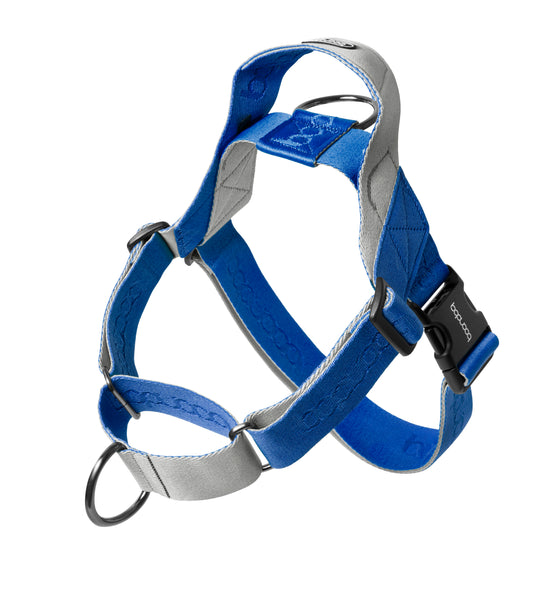 [BOONDOG] 0109 Martingale Harness Cream Blue