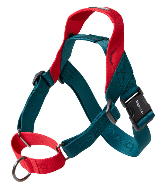 [BOONDOG] 0109 Martingale Harness Green