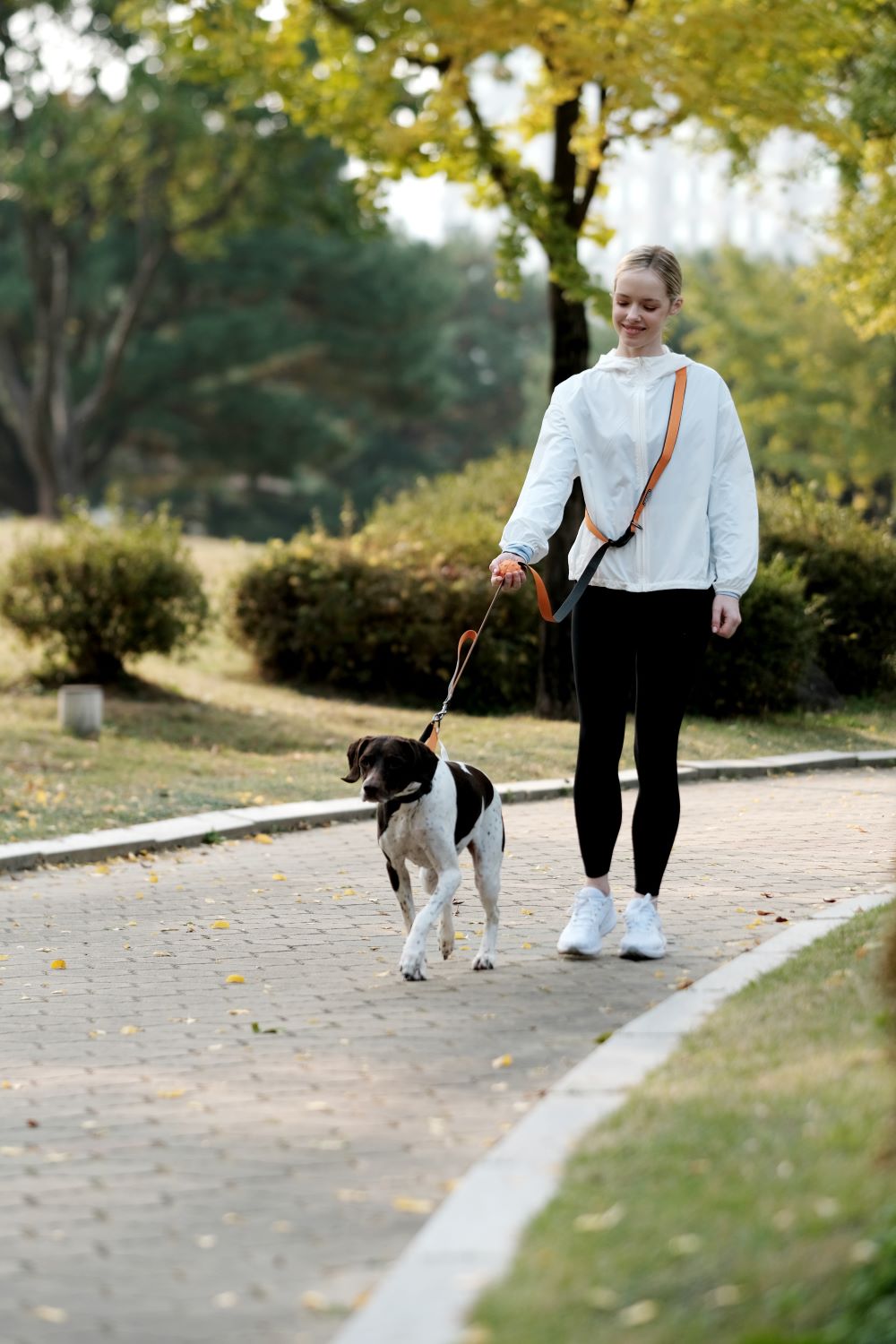 [BOONDOG] Play Leash 2.0 Aqua Pink